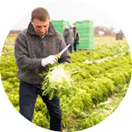 Intercommerces, digitalisez votre activité